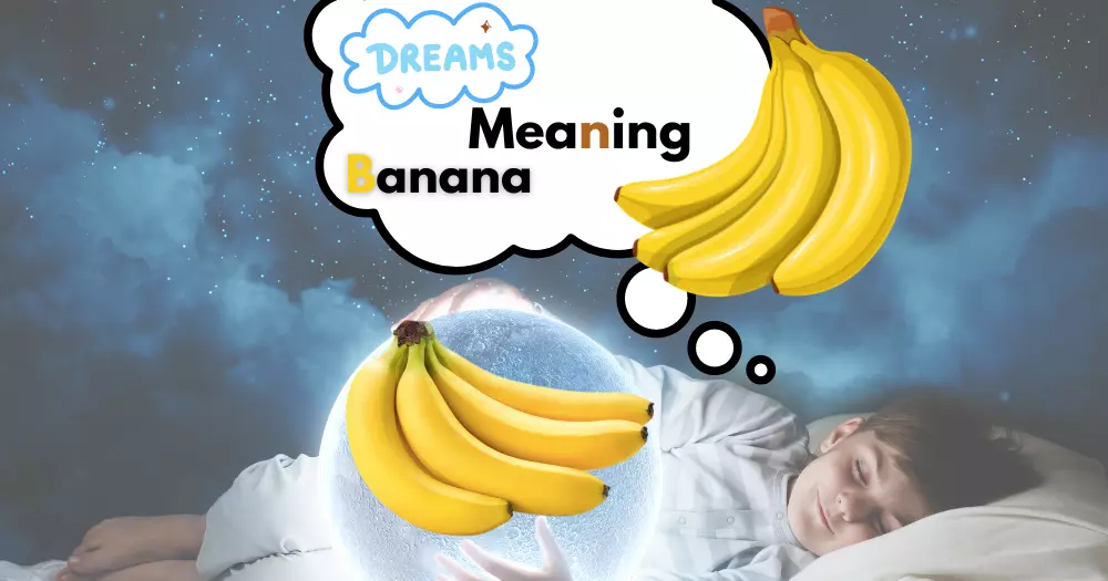Dream Meaning Banana