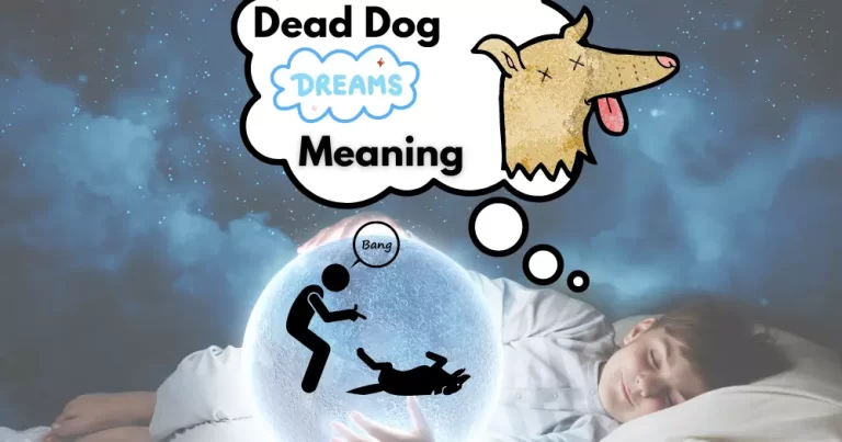 Dreaming About Dead Dog – Meanings And Interpretation