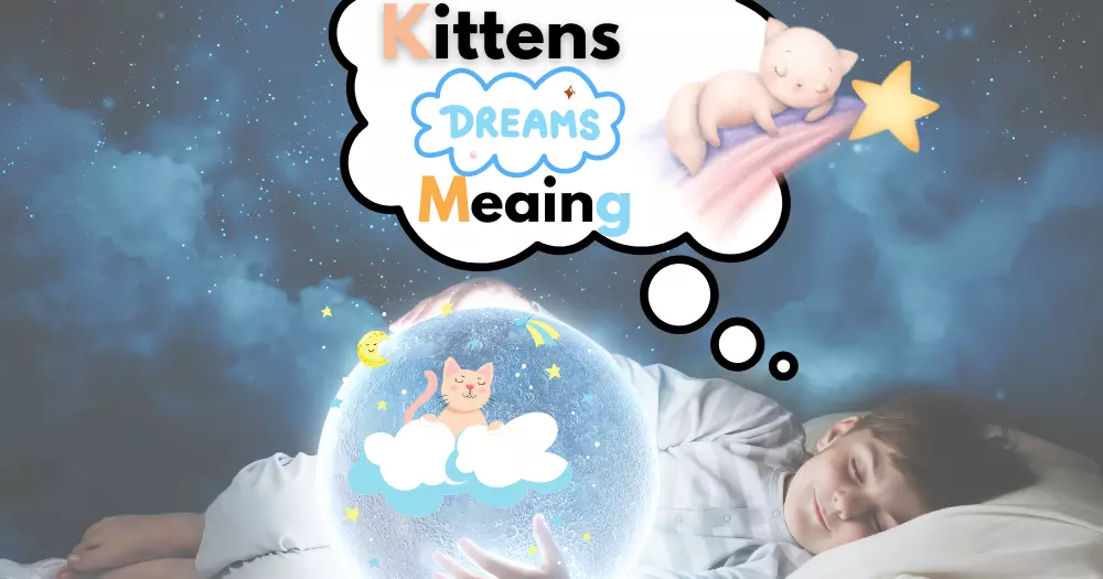 Kittens Dream meaning