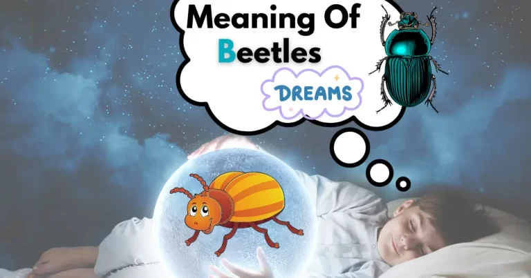 The Spiritual Meaning Of Beetles In Dreams