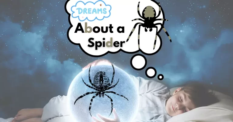 Dreaming About Spiders: Meaning and Interpretation