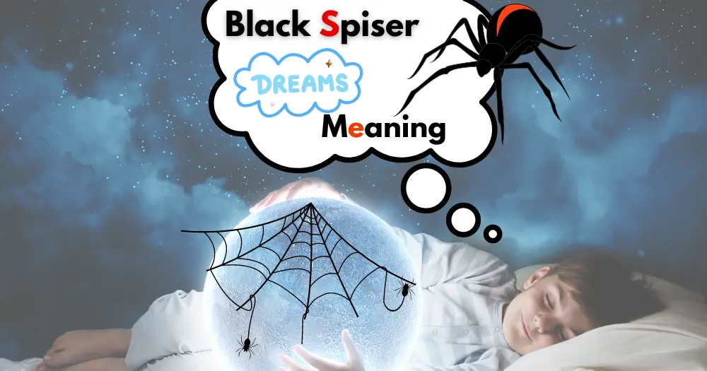 black spider in dream meaning