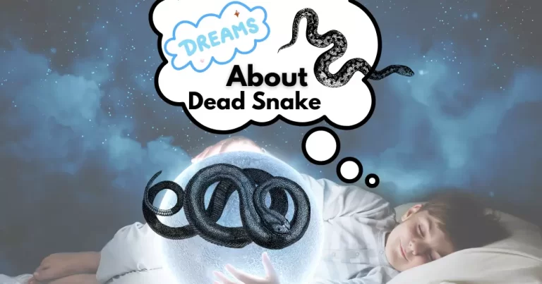 Dreaming About a Dead Snake: Meanings and Interpretations