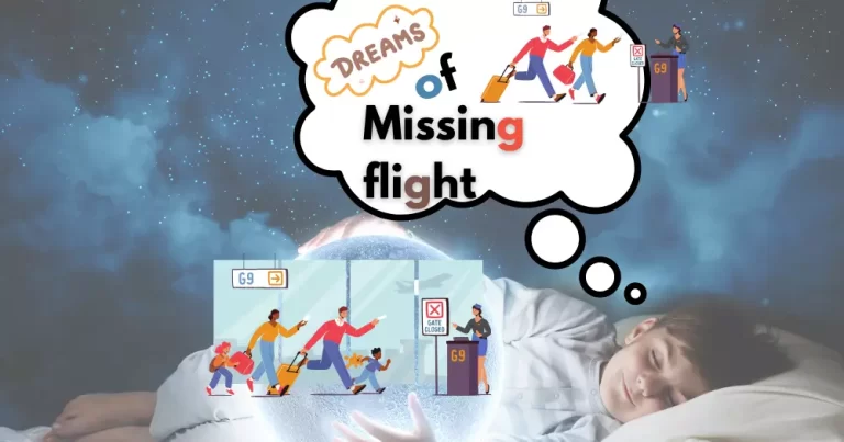 Dream Of Missing Flight