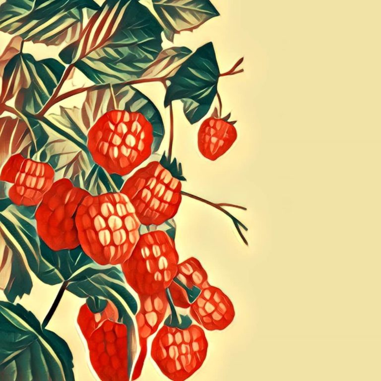 Berries – dream interpretation