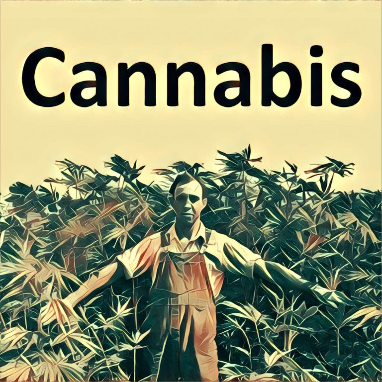 Cannabis – dream interpretation