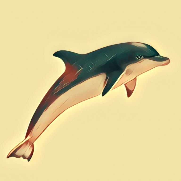Dolphin – dream interpretation