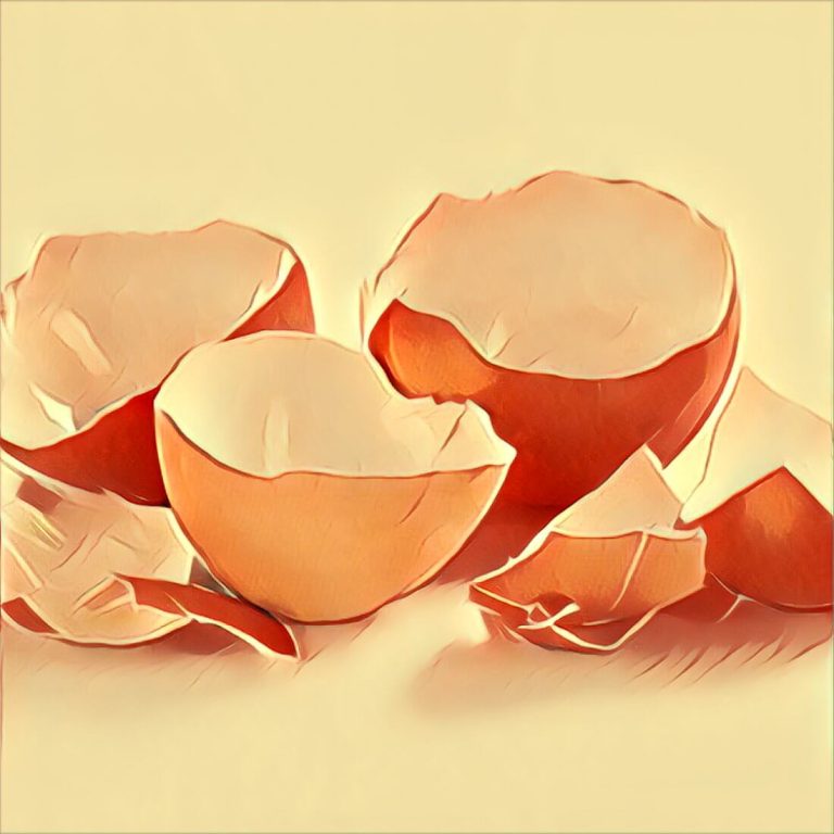 Eggshells – dream interpretation
