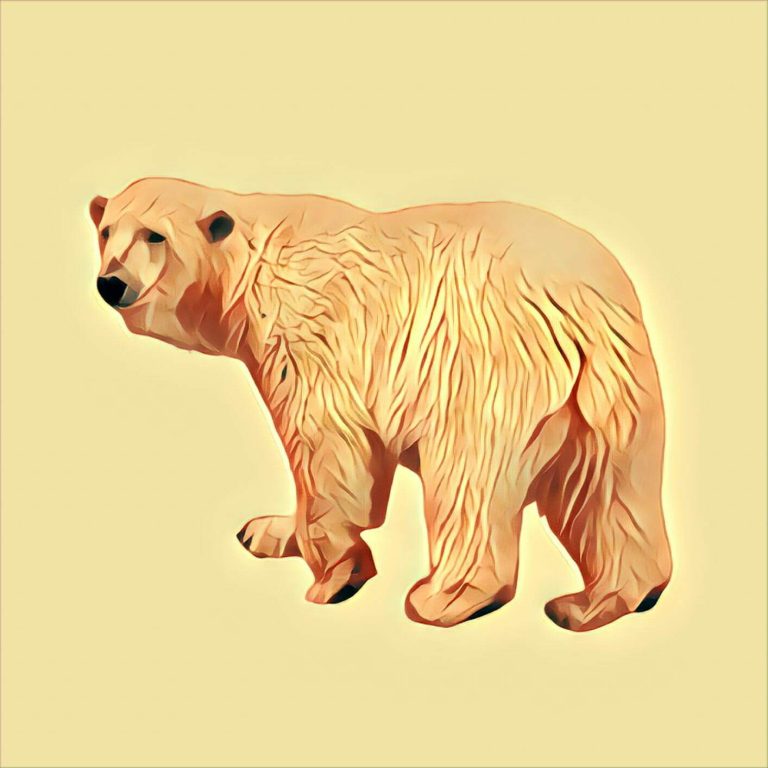 Polar bear – dream interpretation