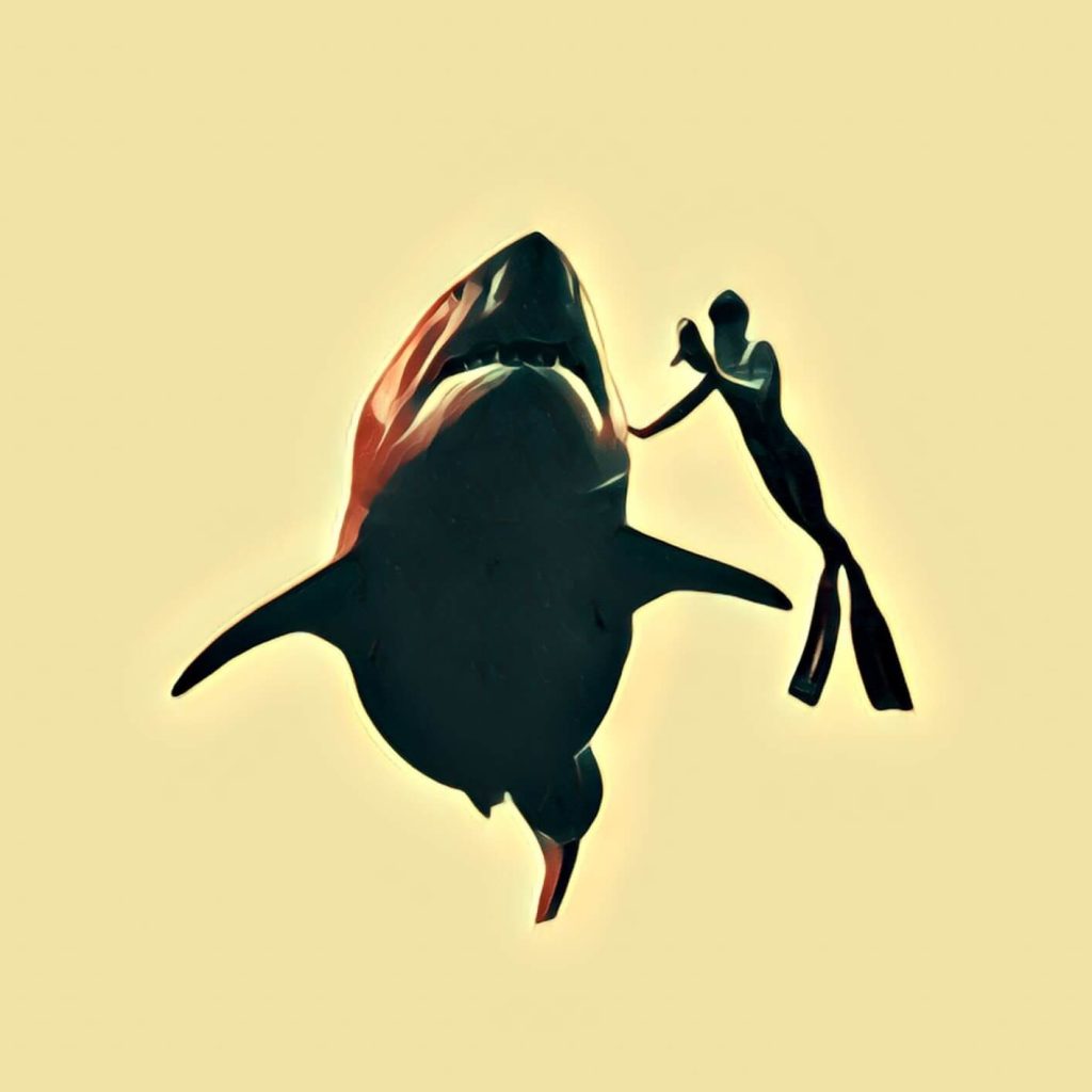  shark |  Dream symbol ► with video
