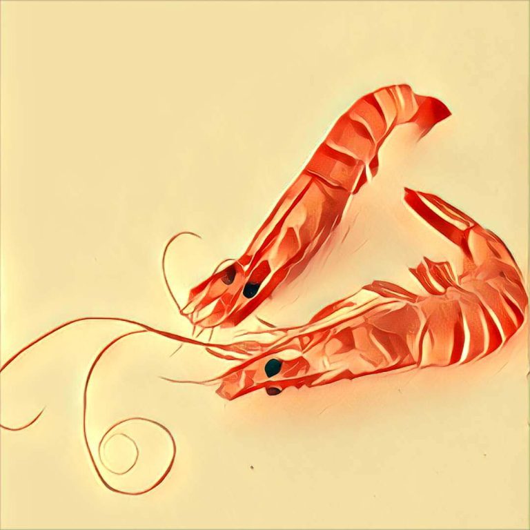 Shrimp – dream interpretation
