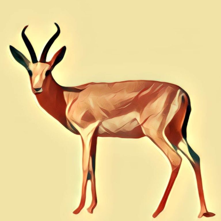 Gazelle – dream interpretation
