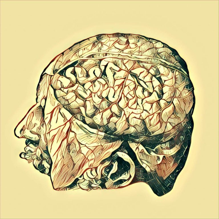 Brain – dream interpretation