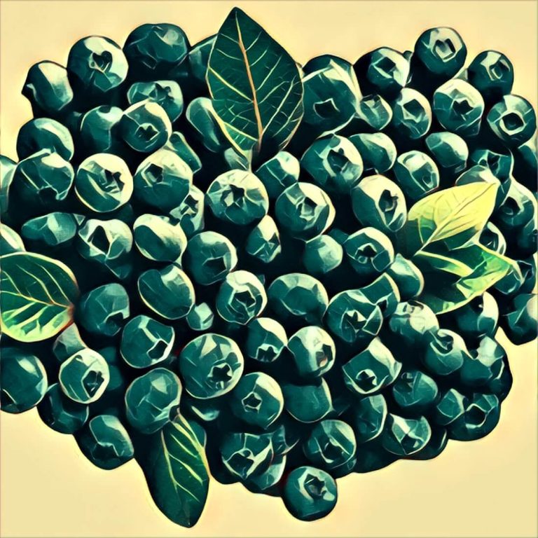 Blueberries – dream interpretation