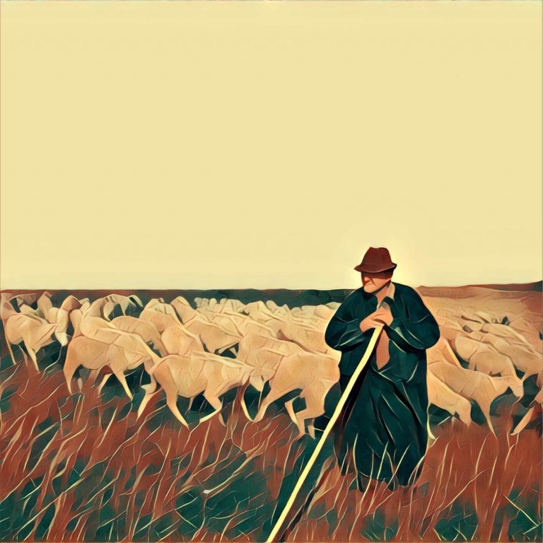 Herd – dream interpretation