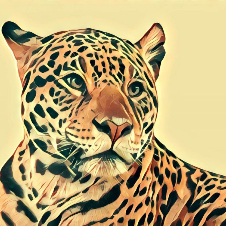 Jaguar – dream interpretation