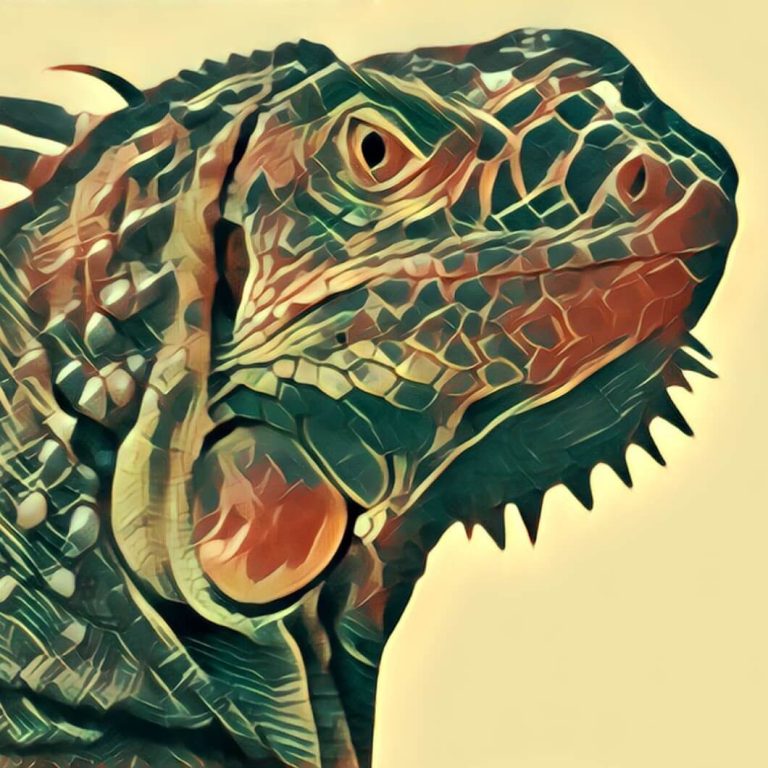Iguana – dream interpretation