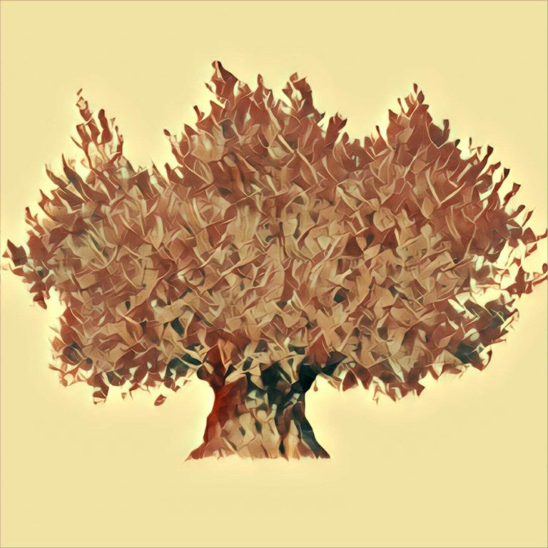 Olive tree – dream interpretation