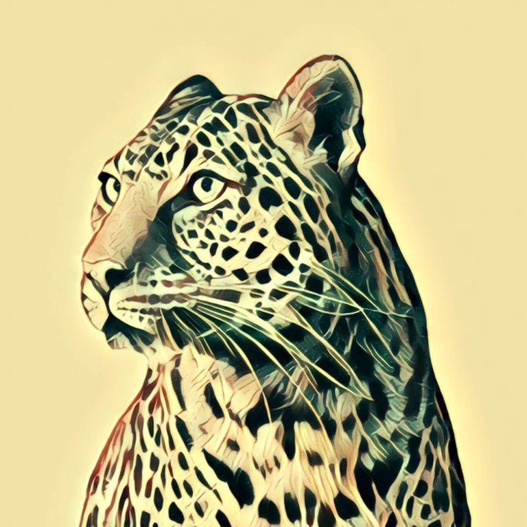 Leopard – dream interpretation