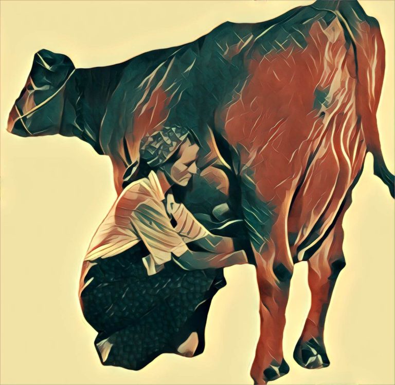 milking – dream interpretation