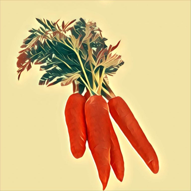 Carrots – dream interpretation
