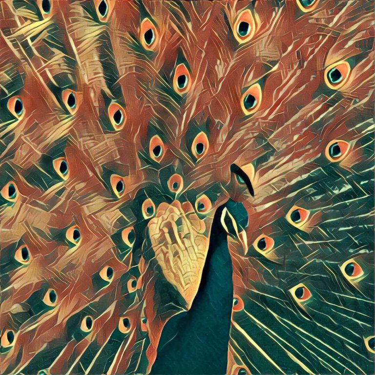Peacock – dream interpretation