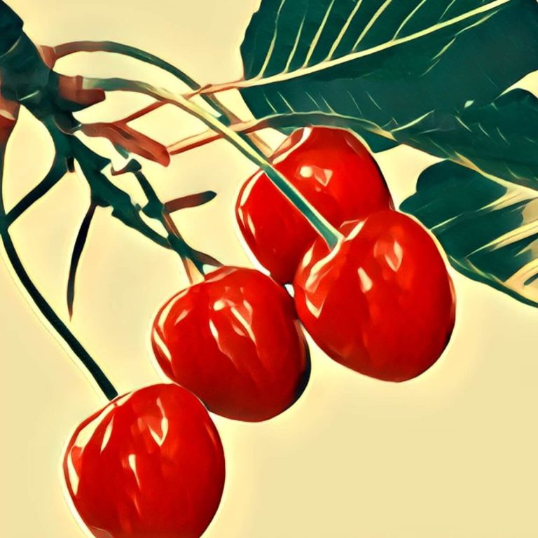 Cherry – dream interpretation
