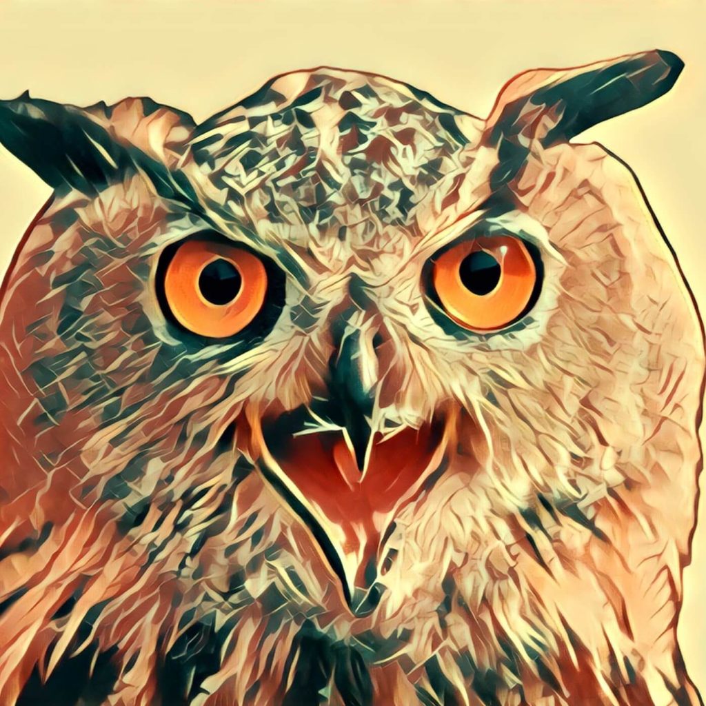 Eagle owl - dream interpretation
