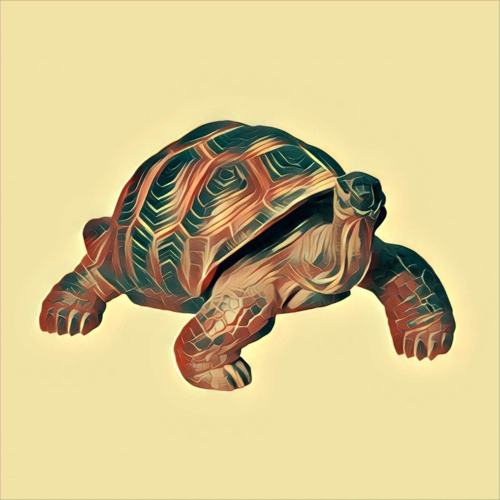Turtle - dream interpretation
