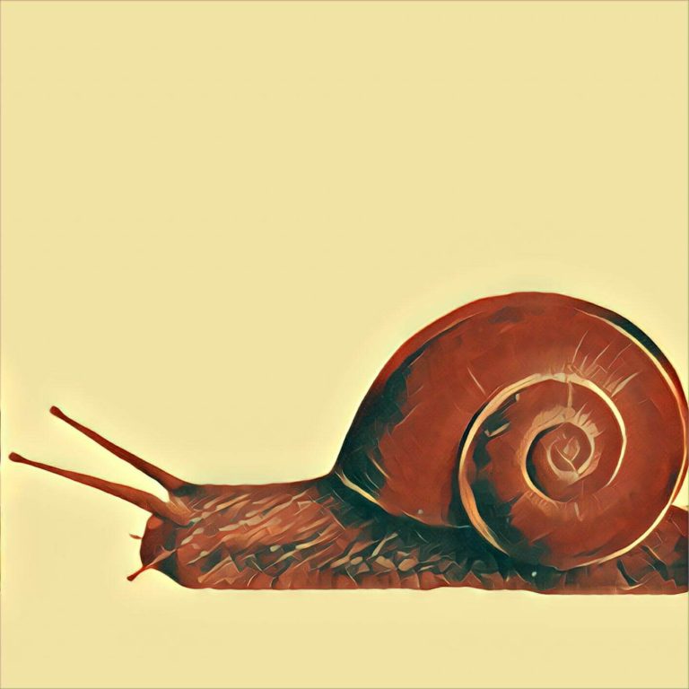Snail – dream interpretation