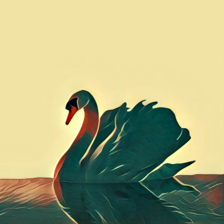 Swan – dream interpretation