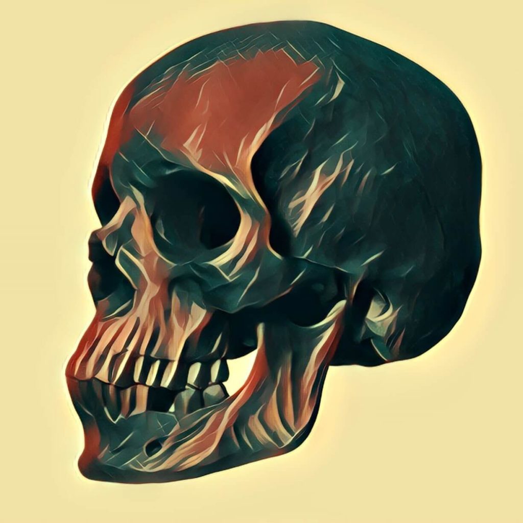 Skull - dream interpretation
