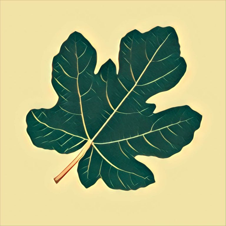 Fig leaf – dream interpretation